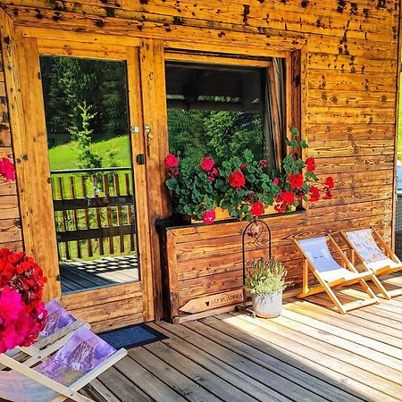 Villa Bischofsberg - Laerchen-Wellness Apartment Windischgarsten Dış mekan fotoğraf