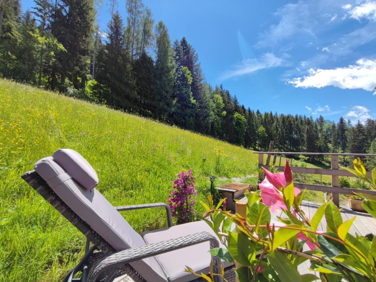 Villa Bischofsberg - Laerchen-Wellness Apartment Windischgarsten Dış mekan fotoğraf