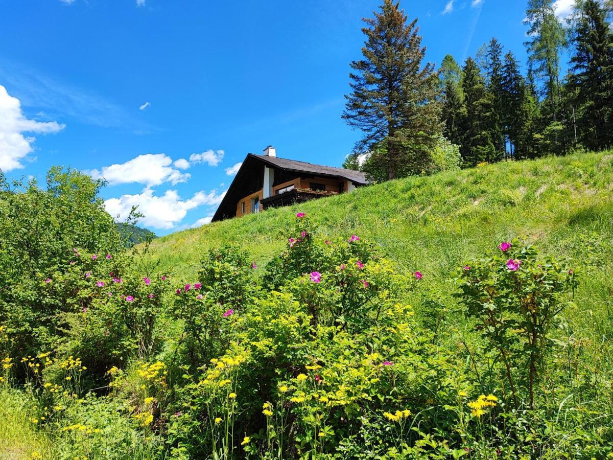 Villa Bischofsberg - Laerchen-Wellness Apartment Windischgarsten Dış mekan fotoğraf